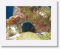 06-Bequia - 44